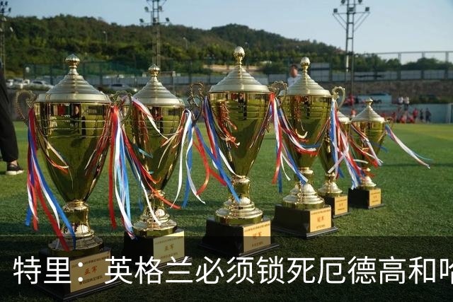 特里：英格兰必须锁死厄德高和哈兰德，这样就有机会赢挪威